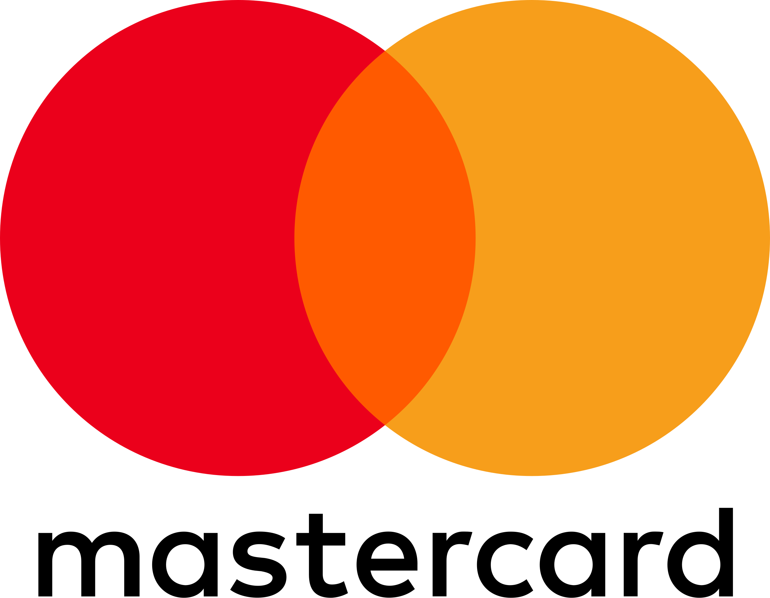 payment logo